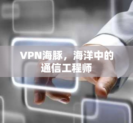 VPN海豚，海洋中的通信工程师
